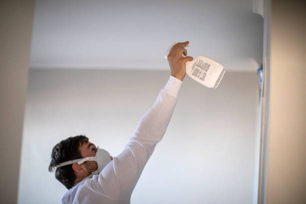 Best Affordable Mold Removal  in Seat Pleasant, MD