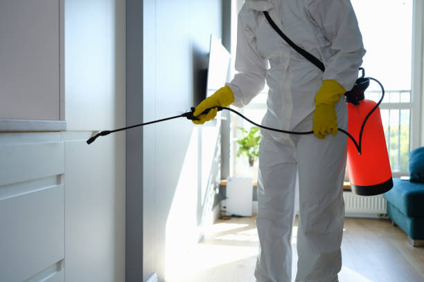 Attic Mold Removal in Seat Pleasant, MD