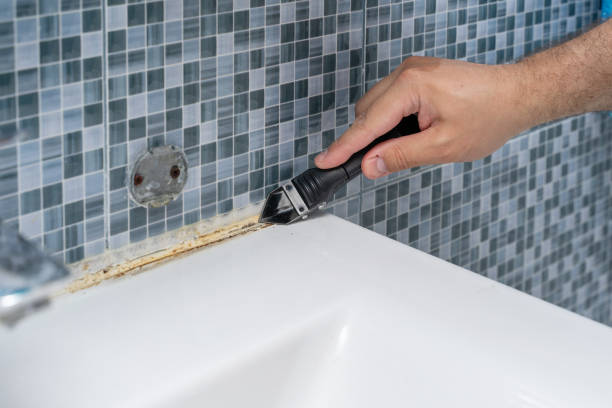 Best Mold Damage Repair  in Seat Pleasant, MD