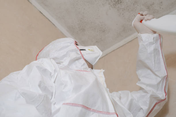 Best Fast Mold Removal  in Seat Pleasant, MD