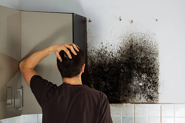 Best Mold Cleaning Services  in Seat Pleasant, MD